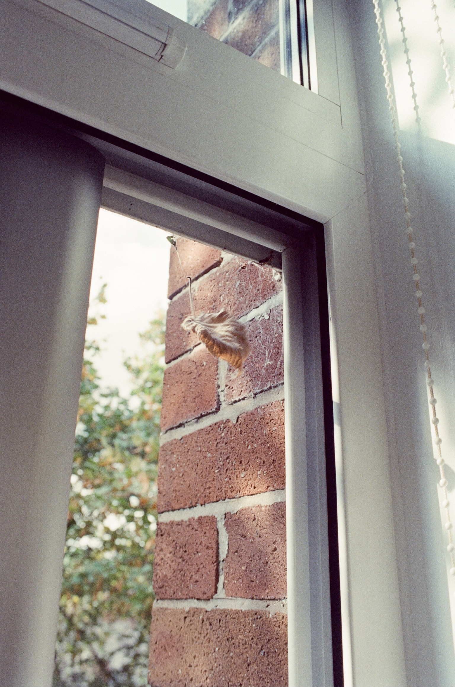 Kodak 500 #3